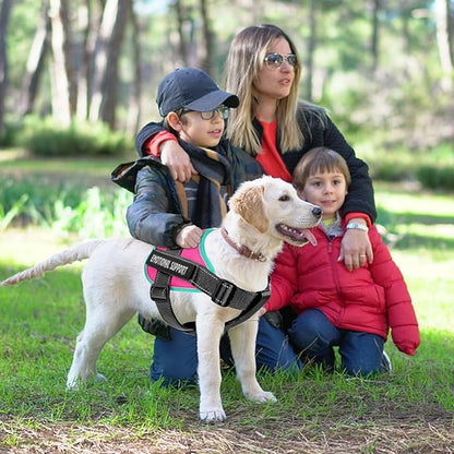 voopet Service Dog Harness, Emotional Support Pet Vest Harness, Reflective Breathable & Adjustable No Pull ESA Harness for Small Medium Large Dogs (with 4 PCS Removeable Tags),X Small (Pack of 1)