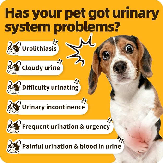 Bladder Supports Chews for Urinary Tract Health, Infection Treatments, Bladder Health, Dog UTI, Bladder Stones, Incontinence Support, Urinary Pain Relief for Cat & Dog 10 Chews (1 Bottle)