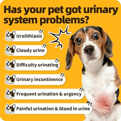 Bladder Supports Chews for Urinary Tract Health, Infection Treatments, Bladder Health, Dog UTI, Bladder Stones, Incontinence Support, Urinary Pain Relief for Cat & Dog 10 Chews (1 Bottle)