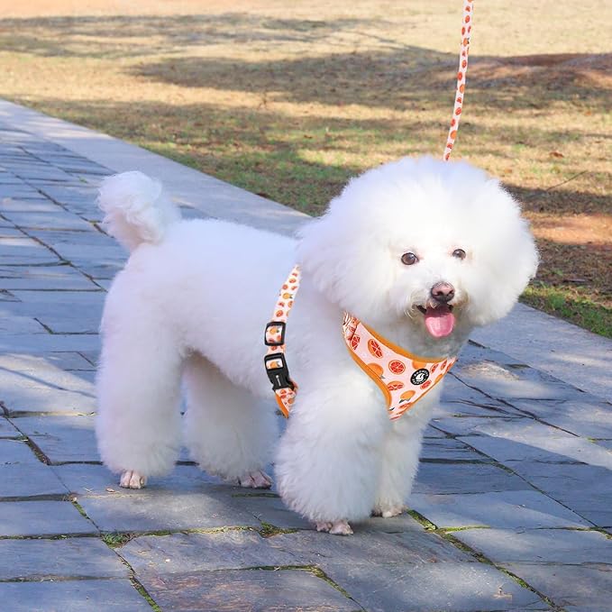 Dog Cat Harness and Leash Set, Puppia Soft Mesh Padded and Adjustable Puppy Vest Cute Dog Clothes Escape Proof Easy Walk Pet Accessories (Grapefruit, S (Neck 10.6"-13"; Chest 14"-19.6"))