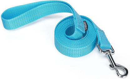 Strong Durable Nylon Dog Training Leash, 1 Inch Wide Traction Rope, 6 ft Long, for Small and Medium Dog (Mint Blue, 6 Feet)
