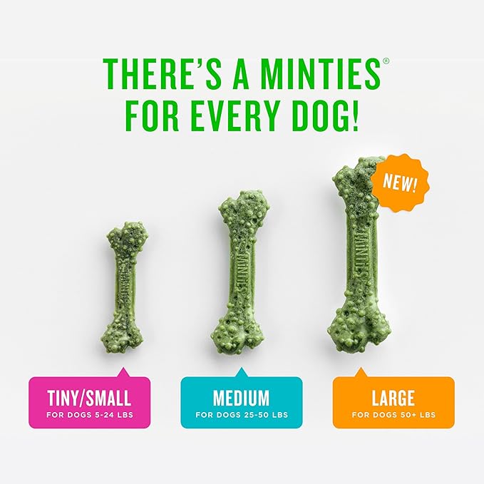 Minties Dog Dental Bone Treats, Dental Chews for Dogs 25-50 lbs, 60 Count, Brushing Chews Helps Clean Teeth and Freshen Bad Breath, Removes Plaque and Tartar, Veterinarian Recommended