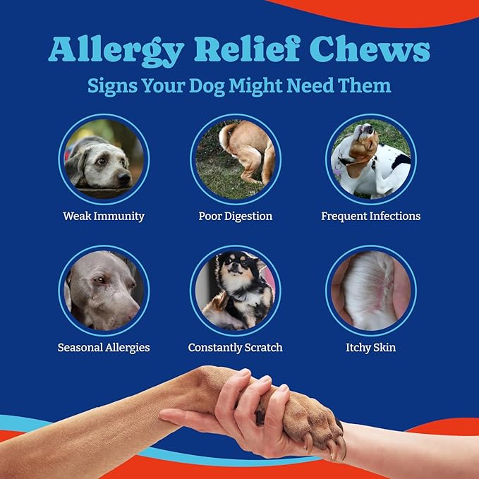 Dog Allergy Relief Chews – 180 Soft Chews, Turkey & Pumpkin Flavor - Immune Support & Itch Relief with Colostrum, Astragalus Root, 6-Strain Gut Health Blend