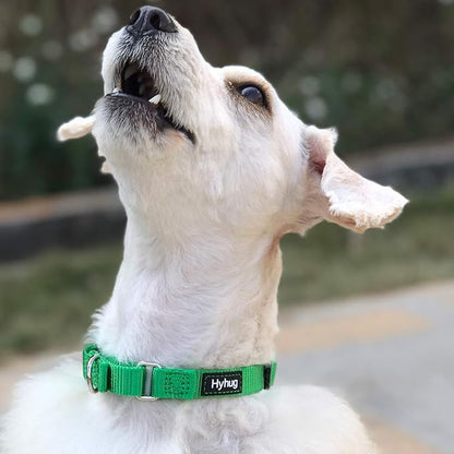 Hyhug Martingale Dog Collar Medium Green |Escape - Proof Heavy Duty Nylon Durable No Slip, Ideal for Training & Daily Walks