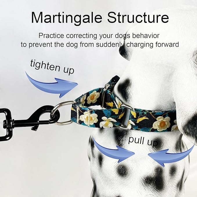 Martingale Collar for Dogs with Buckle Pretty Cute Floral Nylon Dog Collars for Medium Dogs (Luxury Golden Flowers, Medium)