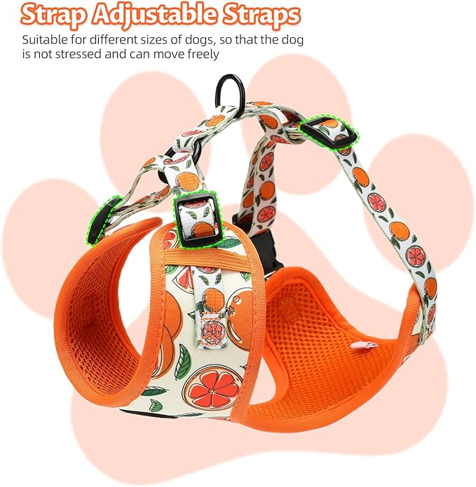 Small Dog Harness and Leash Set of 6, No Pull Soft Lightweight Mesh Puppy Harness， Adjustable Cute Floral Pattern Pet Harness for Small Medium Dogs (Orange, S)