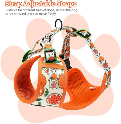 Small Dog Harness and Leash Set of 6, No Pull Soft Lightweight Mesh Puppy Harness， Adjustable Cute Floral Pattern Pet Harness for Small Medium Dogs (Orange, S)