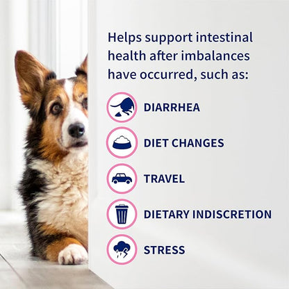 Nutramax Proviable Probiotics for Dogs and Cats, Daily Digestive Health Supplement with Multiple Strains of Bacteria, Cat and Dog Probiotics Plus Prebiotics, 30 Capsules