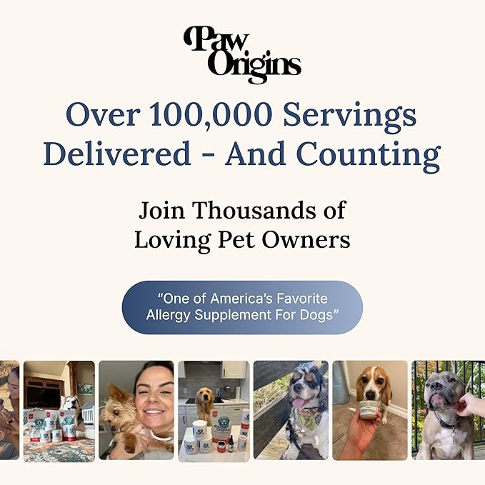 Paw Origins Dog Allergy Chews (60 Ct.) - Clear-Allergies Itch for Immune & Gut Support - Dog Allergy Relief Chews with 3 Billion CFU Probiotic Blend and Omega 3 for Seasonal Allergies - Beef Flavor