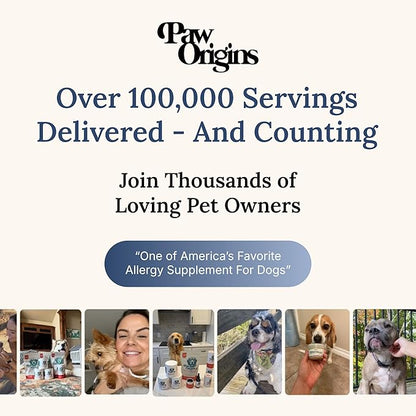 Paw Origins Dog Allergy Chews (60 Ct.) - Clear-Allergies Itch for Immune & Gut Support - Dog Allergy Relief Chews with 3 Billion CFU Probiotic Blend and Omega 3 for Seasonal Allergies - Beef Flavor