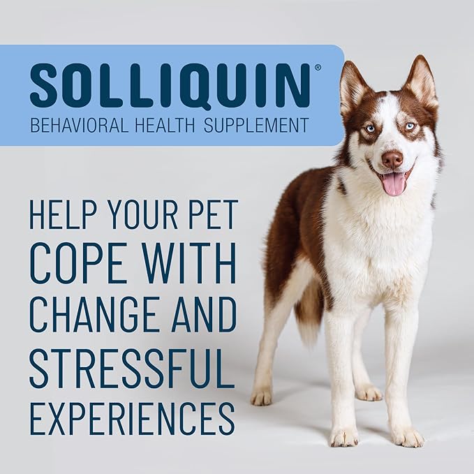Nutramax Solliquin Calming Support for Dogs, Behavioral Health Supplement with L-Theanine, Magnolia/Phellodendron, and Whey Protein Concentrate, Soft Chews, 75 Count (Pack of 2)