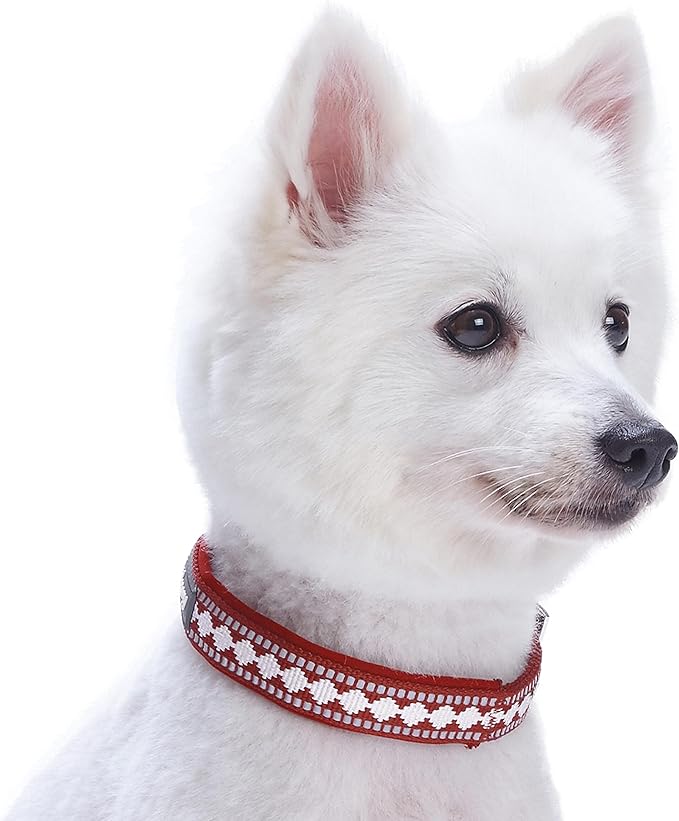 Blueberry Pet Reflective Jacquard Dog Collar with Neoprene Padding & Metal Buckle | Soft & Adjustable Safety Collar - Marsala Red, Neck 13-16.5", for Medium Breed