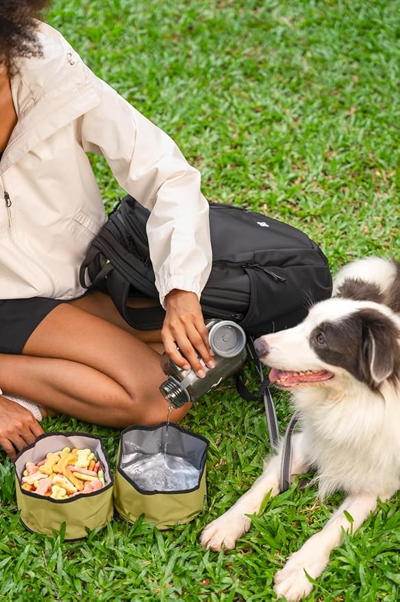 OllyDog Superbowl | Collapsible Dog Travel Bowl | 2 Compartment Food & Water | Foldable| Portable Dog Bowl | Hiking, Camping (Alchemy)
