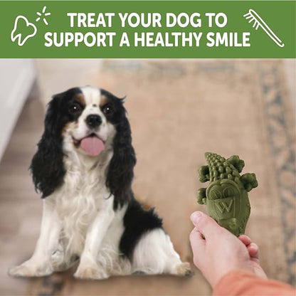 Whimzees Wellness Alligator Dog Dental Treat, Chews, Freshens Breath, Small Size, 12.7 oz Bag, 24 Count
