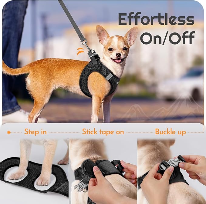 Eagloo Small Dog Harness and Leash Set, Step in Puppy Vest with Breathable Soft Mesh, Walking Reflective Pet Harness for Small Dogs, Black, XS