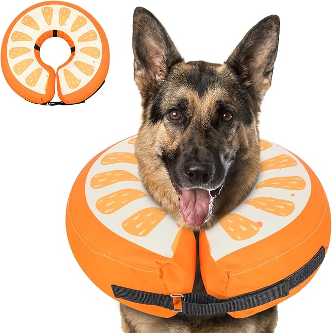 MIDOG Soft Inflatable Dog Cone,Donut E-Collar Alternative for After Surgery, Prevents Licking,Allowing Normal Eating & Vision,Comfortable Recovery Collar for Small Medium Large Dogs & Cats, Orange-L