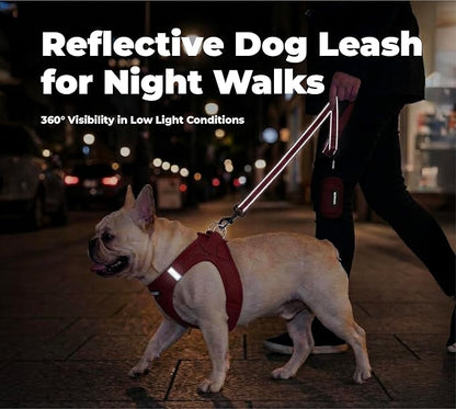 Best Pet Supplies Voyager Reflective Dog Leash or Collar with Neoprene Handle, for Small, Medium, and Large Breed Puppies, Cute and Heavy Duty for Walking, Running and Training - Red (Leash), M
