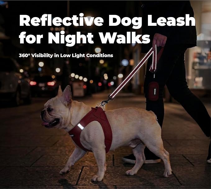 Best Pet Supplies Voyager Reflective Dog Leash or Collar with Neoprene Handle, for Small, Medium, and Large Breed Puppies, Cute and Heavy Duty for Walking, Running and Training - Red (Leash), L