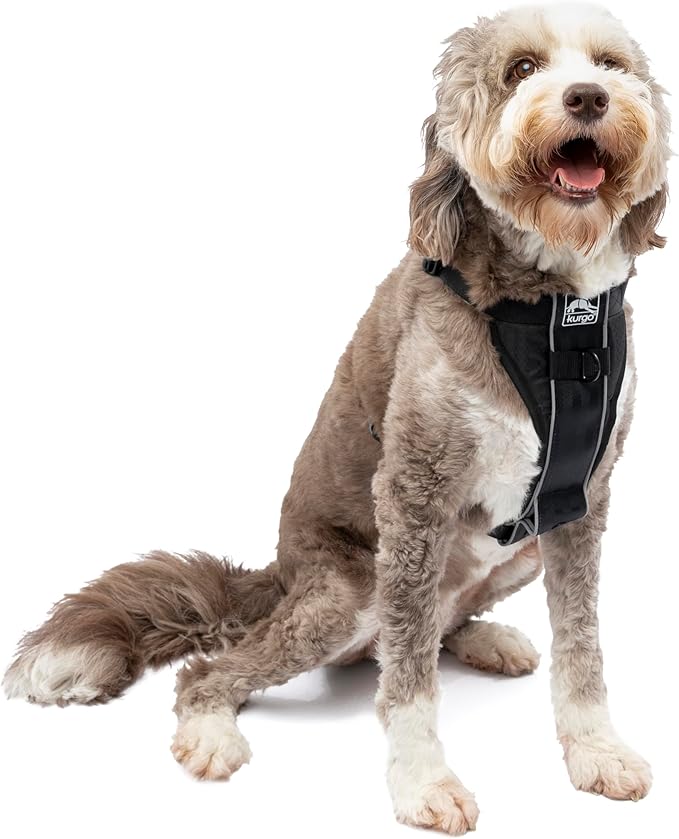 Kurgo Tru-Fit Smart Dog Walking Harness - Comfortable Fit - Adjustable Harness - Reflective Pet Wear - Quick Strap Release - Daily Walk Accessory - Includes Seat Belt Loop - Black - Large