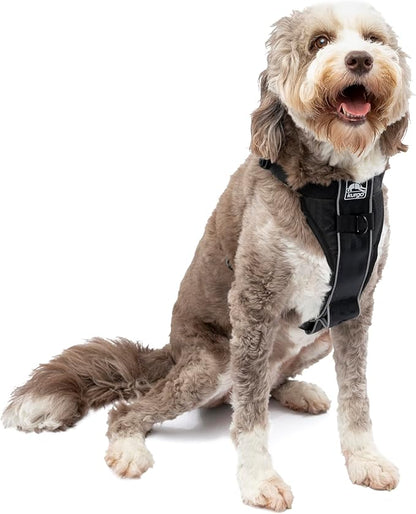 Kurgo Tru-Fit Smart Dog Walking Harness - Comfortable Fit - Adjustable Harness - Reflective Pet Wear - Quick Strap Release - Daily Walk Accessory - Includes Seat Belt Loop - Black - Large