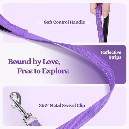 rabbitgoo Dog Harness Small Sized and Leash Set, Step in Soft Light Puppy Vest, Breathable Mesh Pet Harness, Reflective for Outdoor Safe Walking, Purple XXL