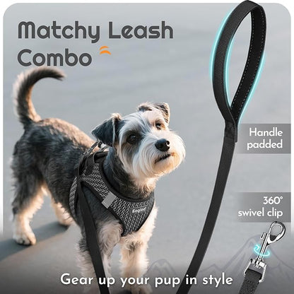 Eagloo Small Dog Harness and Leash Set, Step in Puppy Vest with Breathable Soft Mesh, Walking Reflective Pet Harness for Small Dogs, Gray, XS