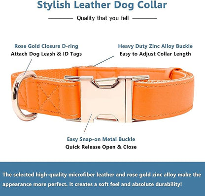 Soft Leather Dog Collar and Leash (6.6') Set - Stylish Rose Gold Heavy Duty Metal Buckle, 4 Adjustable Lengths Leash for Small Medium Large Dogs - Comfortable & Easy to Clean Orange XS(8"-12")