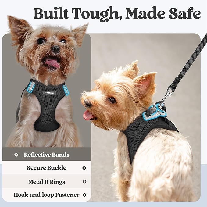 rabbitgoo Dog Harness Small Sized and Leash Set, Step in Soft Light Puppy Vest, Breathable Mesh Pet Harness, Reflective for Outdoor Safe Walking, Black XXL