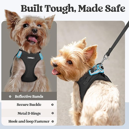 rabbitgoo Dog Harness Small Sized and Leash Set, Step in Soft Light Puppy Vest, Breathable Mesh Pet Harness, Reflective for Outdoor Safe Walking, Black XXL