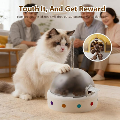 Pet Food Dispenser Interactive Training for Cats and Dogs Feeding Device, Self Soothing and Soothing Sound Toy (Brown)