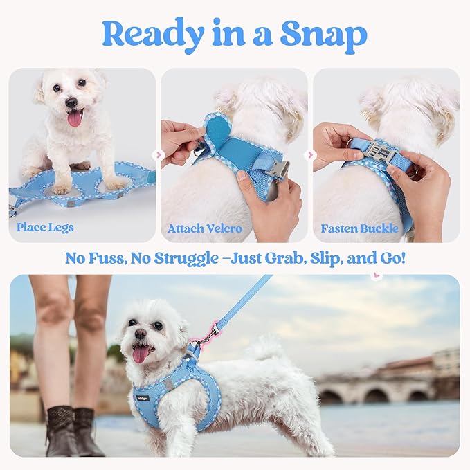 rabbitgoo Dog Harness Small Sized and Leash Set, Step in Soft Light Puppy Vest, Breathable Mesh Pet Harness, Reflective for Safe Easy Walking, Blue & Plaid Trim M
