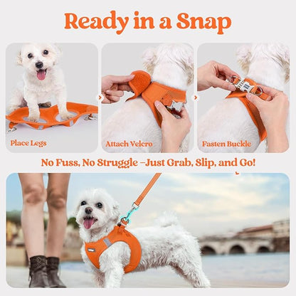 rabbitgoo Dog Harness Small Sized and Leash Set, Step in Soft Light Puppy Vest, Breathable Mesh Pet Harness, Reflective for Safe Easy Walking, Orange XXXS
