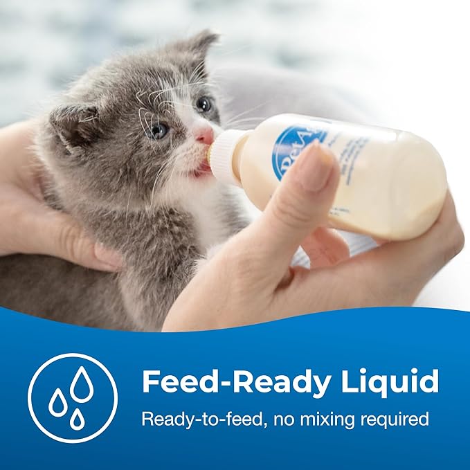 PetAg KMR Kitten Milk Replacer Liquid - 16 oz, Pack of 3 - Ready-to-Feed Formula with Vitamins for Newborn Kittens to 1 Year - Easy to Digest