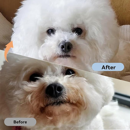 2 Pack Professional Pets Eye Combs,Pets Grooming Comb Kit,Stainless Steel Tear Stain Remover for Cats & Dogs,Flea Lice Comb,Gentle Curved Comb Teeth,Precisely Removes Stains (2pcs eye combs)