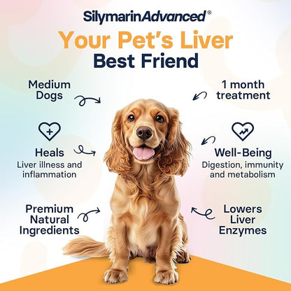 Liver Health Supplement for Medium Dogs - Milk Thistle for Dogs Liver Support with S-Adenosylmethionine (Same) & Silybin - 30 Tablets