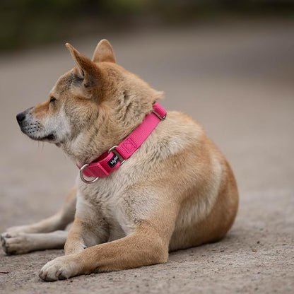 Hyhug Martingale Collar for Dogs Small Pink |Escape - Proof Heavy Duty Nylon Durable No Buckle, Ideal for Training & Daily Walks