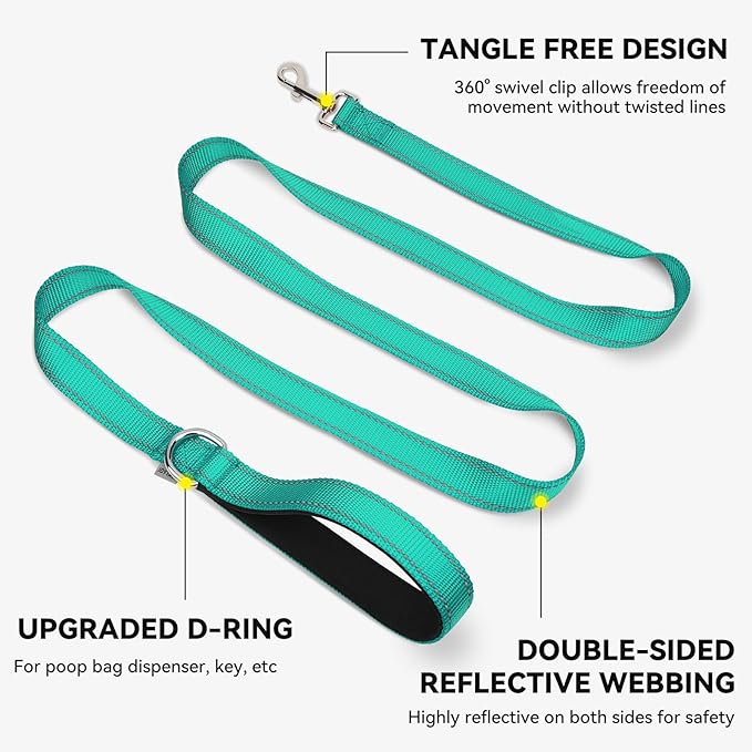 Joytale Dog Leash, 6 FT Double-Sided Reflective, Padded Handle Nylon Heavy Duty Leashes for Medium & Large Dogs Walking, Teal