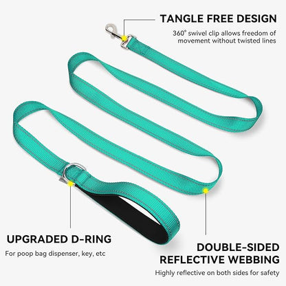 Joytale Dog Leash, 6 FT Double-Sided Reflective, Padded Handle Nylon Heavy Duty Leashes for Medium & Large Dogs Walking, Teal