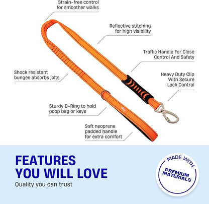 Dog Friendly Co. Bungee Dog Leash | Strain Free & Shock Resistant for Control | Neoprene Padded Handle, Heavy-Duty Carabiner Clip, and D-Ring | Hi-Vis Orange, Size Regular