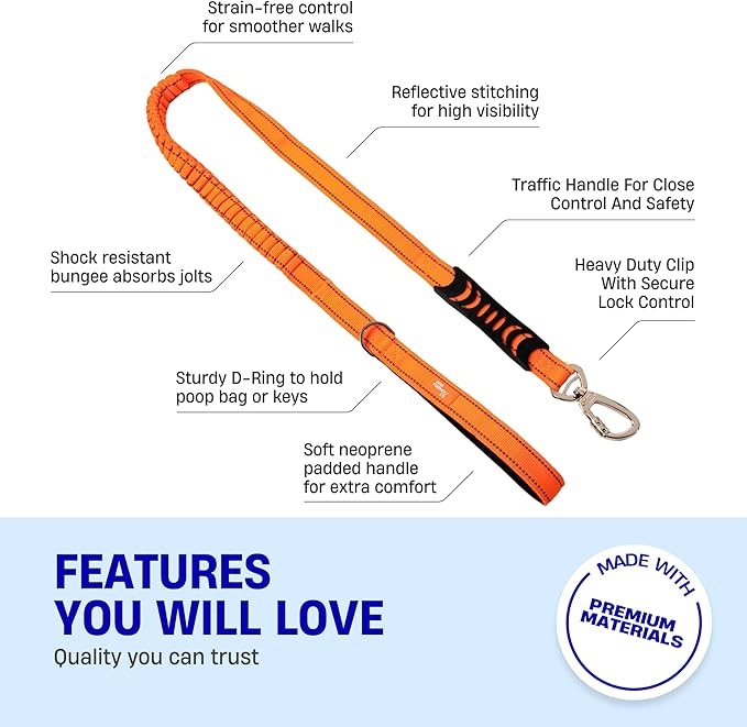 Dog Friendly Co. Bungee Dog Leash | Strain Free & Shock Resistant for Control | Neoprene Padded Handle, Heavy-Duty Carabiner Clip, and D-Ring | Hi-Vis Orange, Size Small