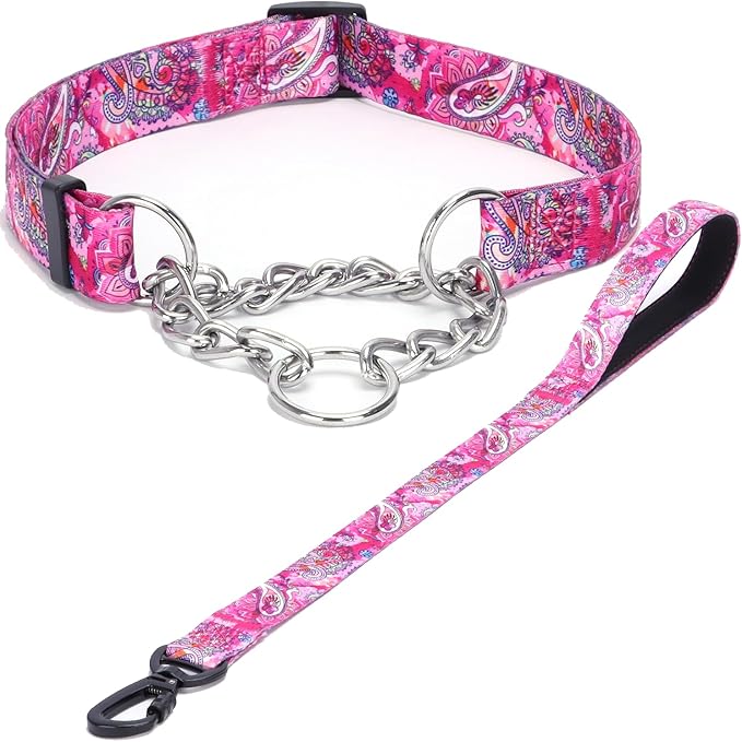 Martingale Dog Collar with Stainless Steel Chain - Limited Chain Cinch Training Collar for No Pull Training Dog - Flower Multicolor Cute Patterns - Premium No Slip Collar (S, Pink Set)