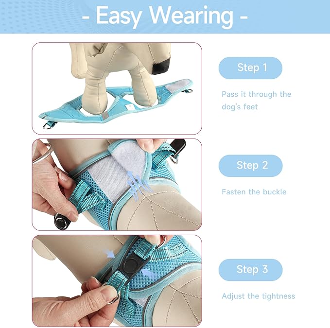 Dog Harness for Small Dogs and Leash Set, Honeycomb Grid, Reflective Lightweight Harness & Anti-Twist Pet Lead Multi Color, Size: XS-S-M. (S, Sky Blue)