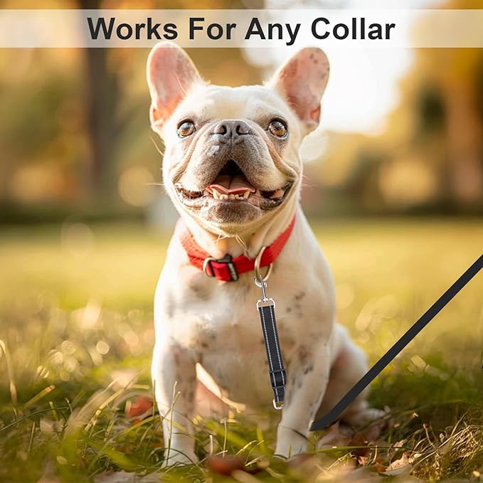 ElevateTech 2Pcs Dog Collar Safety Clip, Adjustable Double Ended Backup Clasp Leash Connector Gentle Leader Suitable Dog Harness Small Dogs Collar Walking Running Training Travel (Black Gray)