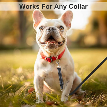 ElevateTech 2Pcs Dog Collar Safety Clip, Adjustable Double Ended Backup Clasp Leash Connector Gentle Leader Suitable Dog Harness Small Dogs Collar Walking Running Training Travel (Black Gray)