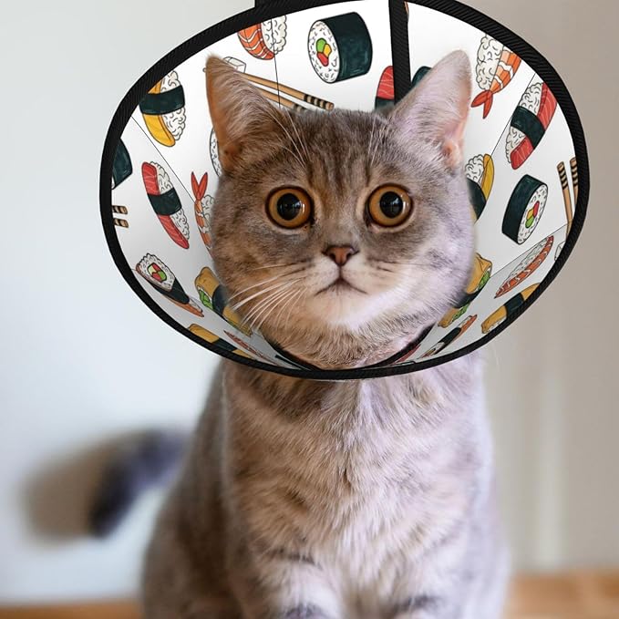 Comfy Pet Cone Collar, Adjustable for Dogs After Surgery, Anti-Bite Design, Perfect for Large Medium Small Dogs, Sushi