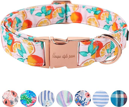 Unique style paws Dog Collar Metal Buckle Gift for Small Medium Large Boys Girls Dogs orange