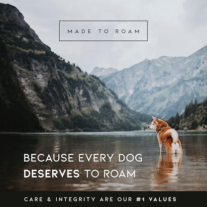 Made to ROAM Premium Dog Collar - Adjustable Heavy Duty Nylon Collar with Quick-Release Metal Buckle (Alaska Daybreak, Classic Size 5)