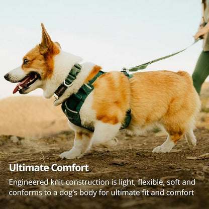 Ruffwear, Front Range Flex Dog Collar, Soft Engineered Knit for Everyday Walks, Lightweight Adjustable with Aluminum V-Ring, Integrated ID Tag Silencer, Quick Release Buckle, Deep Teal, 9"-11"