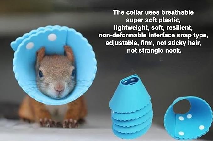 Squirrel Elizabeth Collar, Sugar Glider Protection Cone Neck Recovery Collar, Elizabeth Anti-Water Cone for Small Animals, Soft Pet Neck Cone for Squirrel (for Eurasian Red/Russian Red Tree Squirrel)