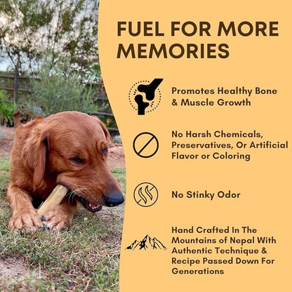 Yak Cheese Himalayan Dog Chews – Long-Lasting Natural Chews for Aggressive Chewers – 2-Ingredient, High Protein, Odorless, Dental Health Treats for Dogs (Large, 12 Pack)